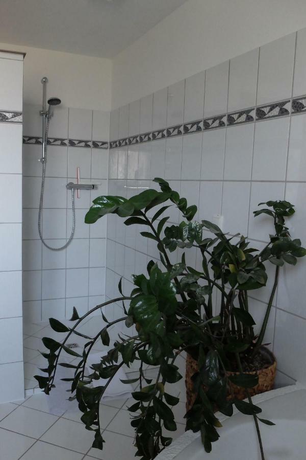 הוכסט Ferienwohnung Elsa מראה חיצוני תמונה